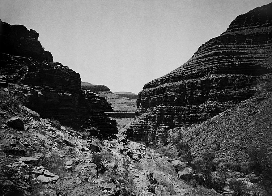 Zebra River 1 | 100 x 140cm | Namibia 2002