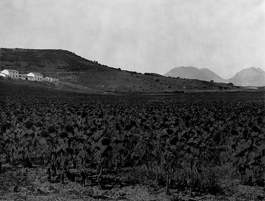 Farm Andalusien 5 | 100 x 130cm | Spanien1998