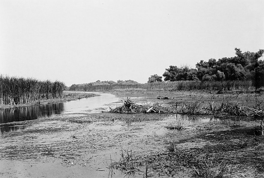 Donaudelta 2 | 100 x 130cm | Romania, 2013