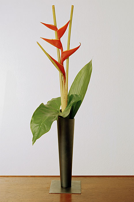 Flowers 5  | Heliconie | 160 x 120 cm cm | 1994